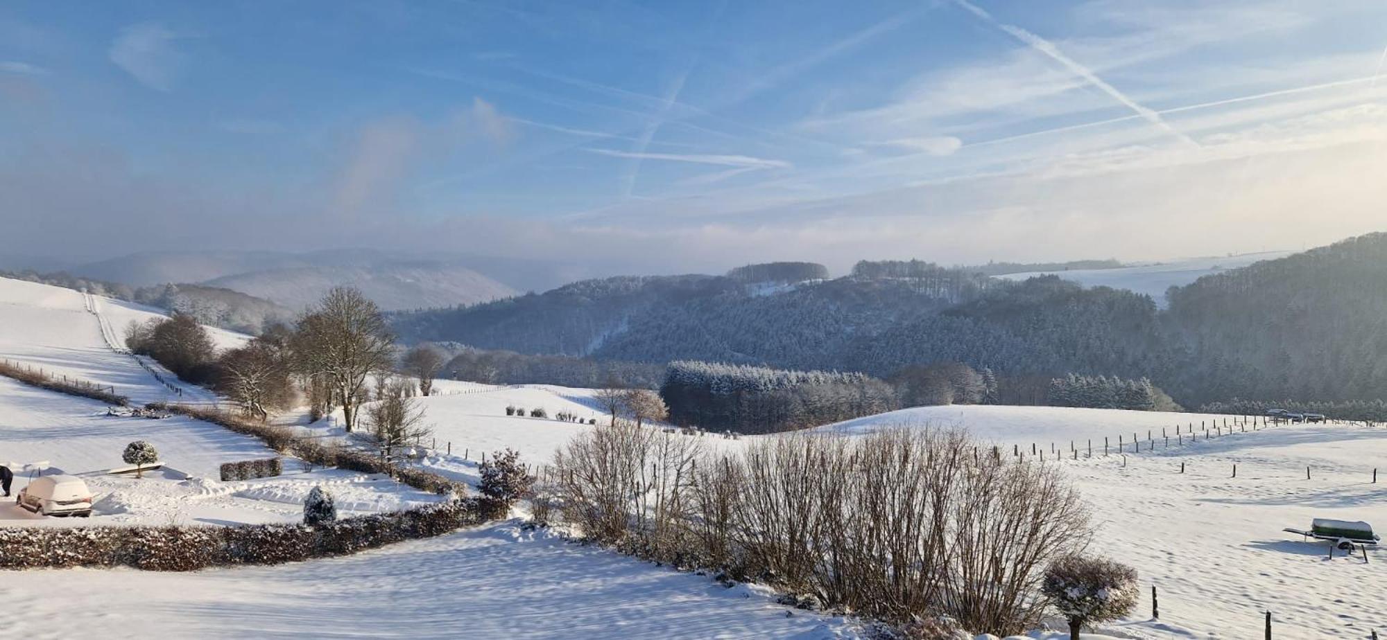 Fewo-Eifel-Morsbach Schleiden Exteriör bild